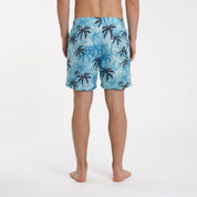 local_40814__color_blue-black