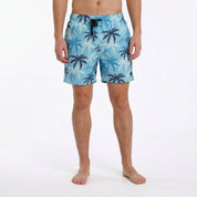 local_40816__color_blue-black
