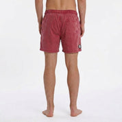 local_40820__color_burgundy