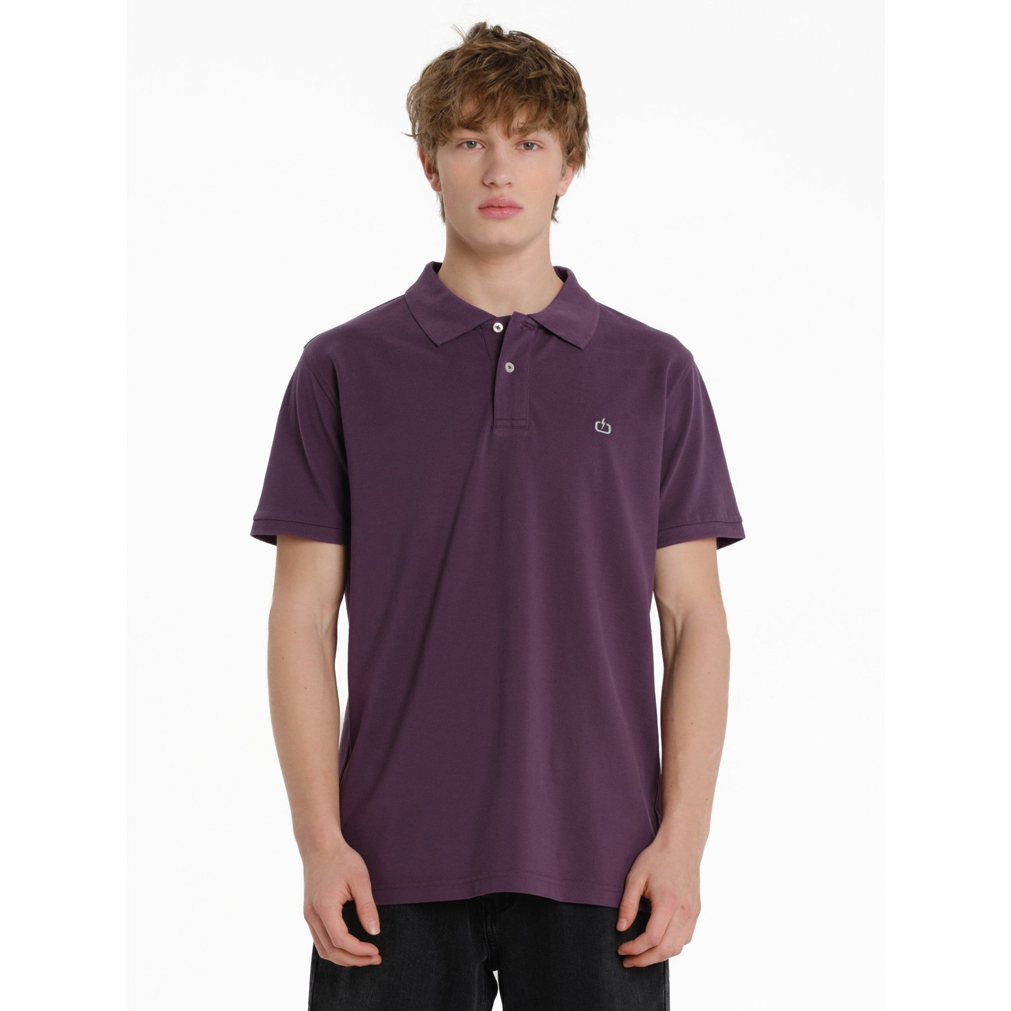 local_36332__color_grape-purple