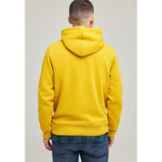 local_31761__color_lemon-yellow