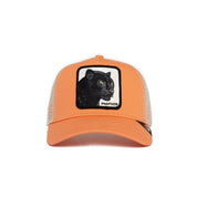 local_10062__color_washed-orange-panther