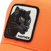 local_13978__color_orange-panther
