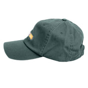 local_11218__color_pine-green