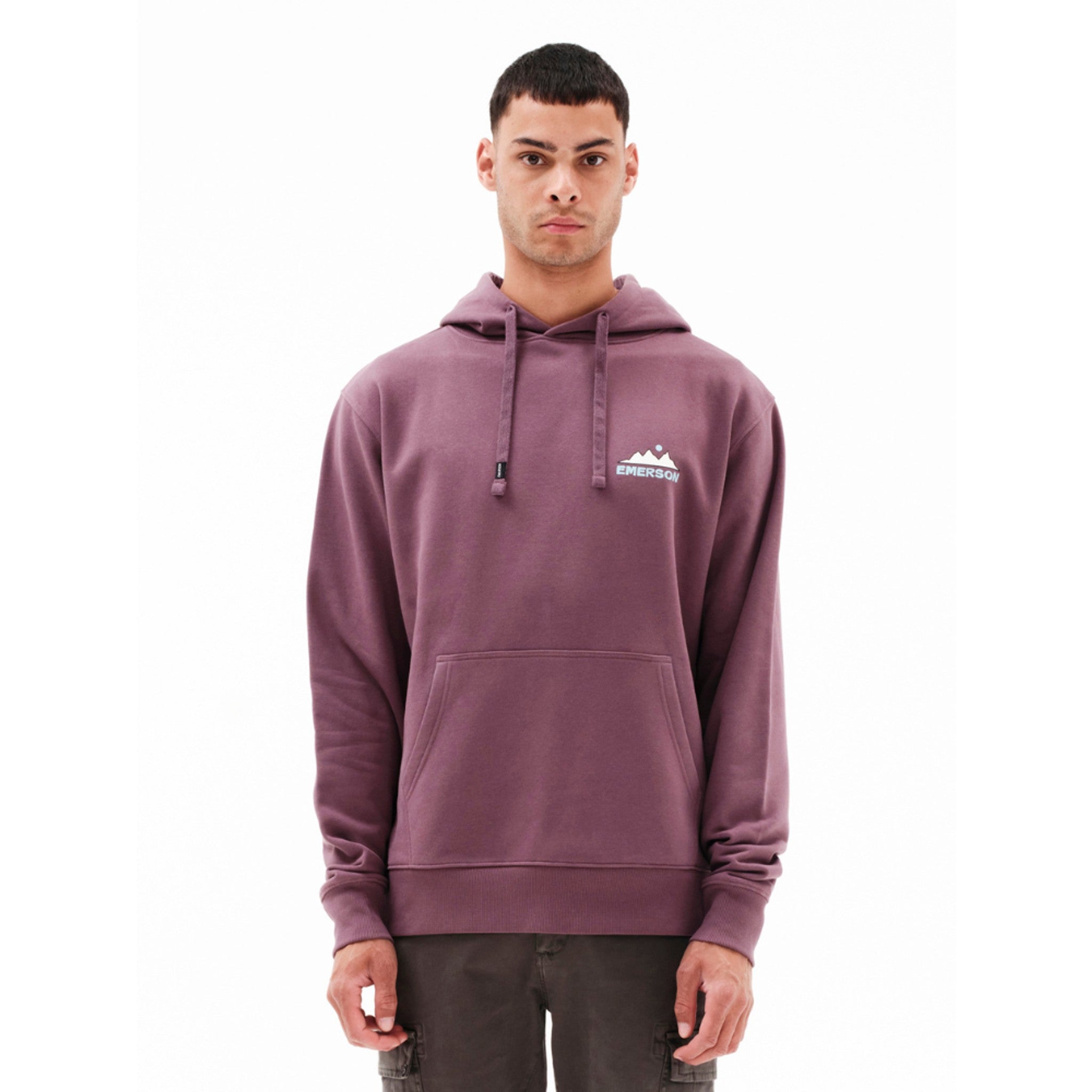 local_17892__color_dark-purple