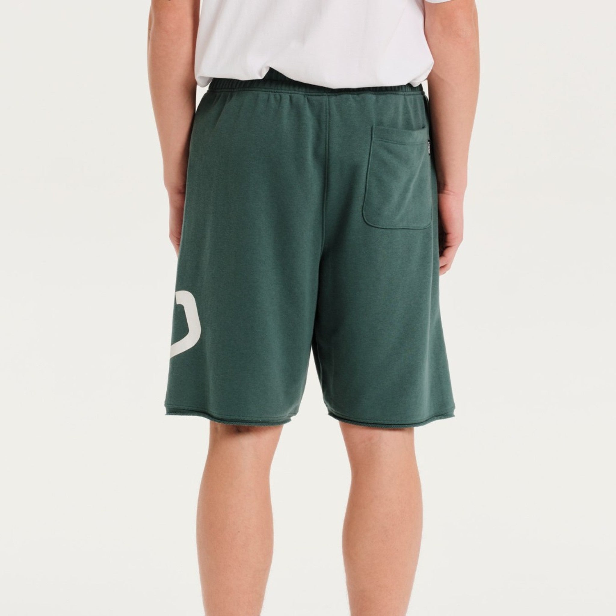 local_17949__color_dark-green