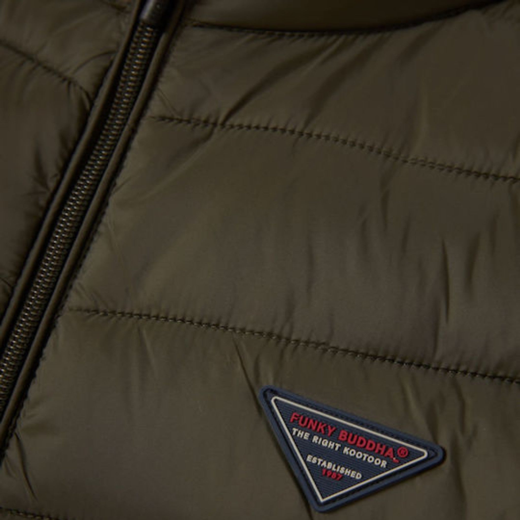 local_16079__color_khaki