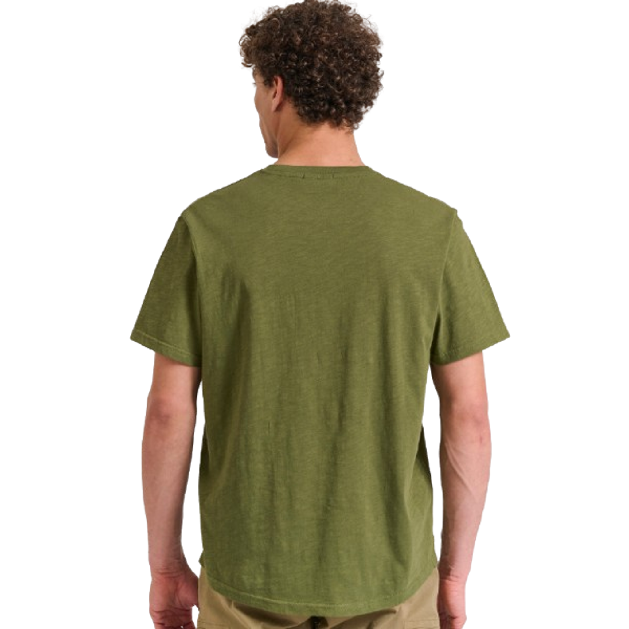 local_16110__color_khaki