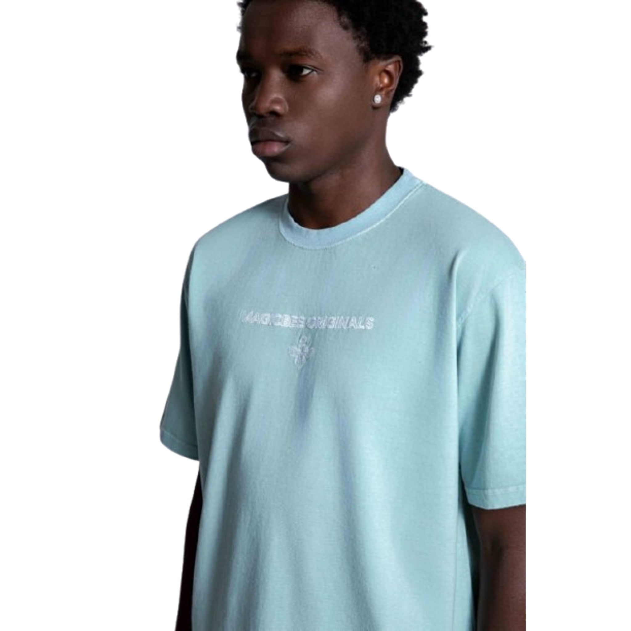 local_15353__color_mint